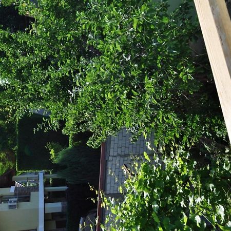 Dacha V Arkadii Hotel Odesa Exterior foto